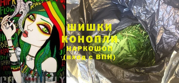ПСИЛОЦИБИНОВЫЕ ГРИБЫ Алексин