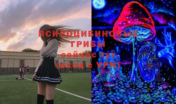 ПСИЛОЦИБИНОВЫЕ ГРИБЫ Алексин