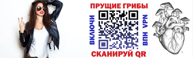 Галлюциногенные грибы прущие грибы  Мензелинск 
